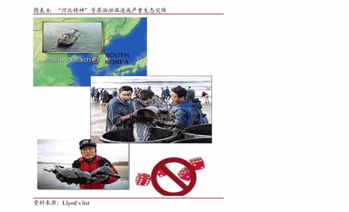 深耕行業，專業服務 明源云（0909.HK）打造地產信息化龍頭